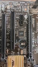 Scheda Madre ASUS Q170M-C (LGA 1151 DDR4) 