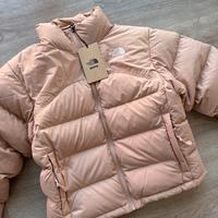 The north face nuptse 2000 x SKIMS