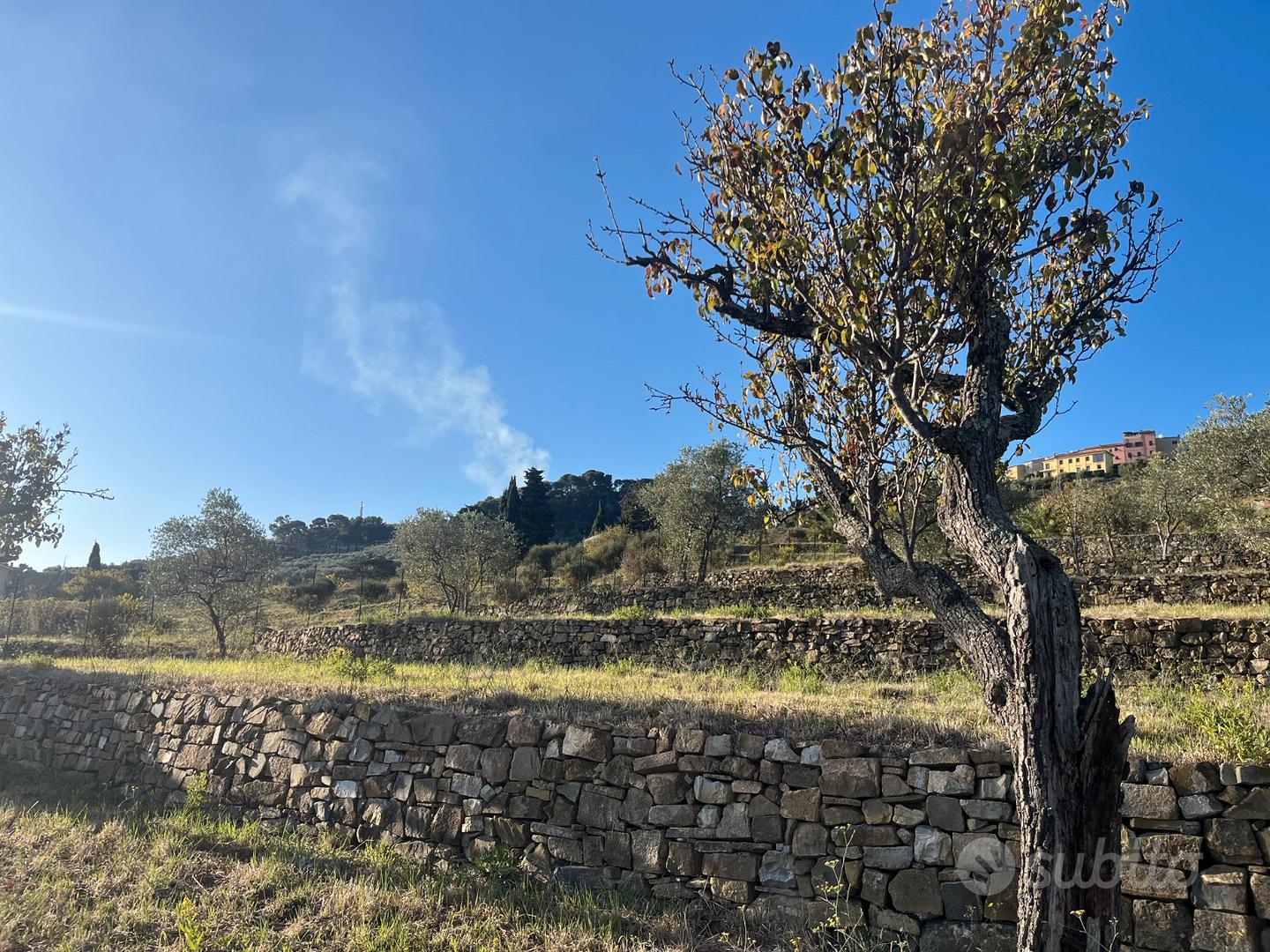 Terreno con progetto approvato Villa Unifamiliare - Vista 2