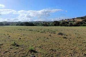 Agricolo con possibilità di edificare su 3 ettari