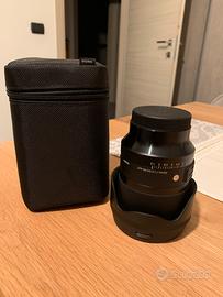 Sigma 35 F/1.4-AF (A) DG DN, Sony E-Mount Mirrorle