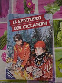 Il sentiero dei ciclamini