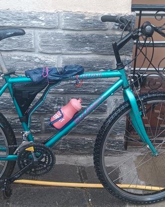 MTB Specialized Rockhoopper vintage 
