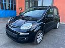 fiat-panda-1-2-easy-solo-km-51500