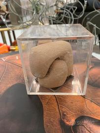 Scultura Gino Cosentino