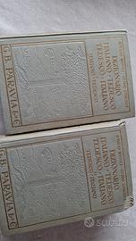 dizionario italiano tedesco