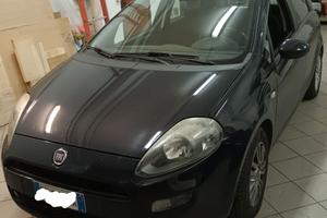 Punto Evo