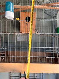 Gabbia per pappagalli