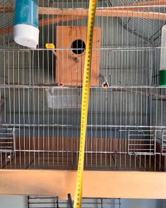 Gabbia per pappagalli