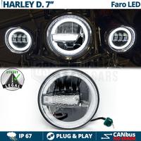 FARO LED DRL 7'' Moto HARLEY DAVIDSON Luce Bianca