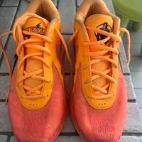 scarpe da basket zoom freak 6