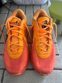 scarpe da basket zoom freak 6