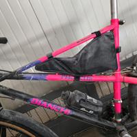bicicletta moutain bike