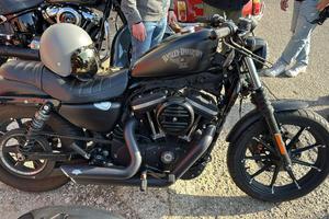 Harley davidson sportster Iron 883