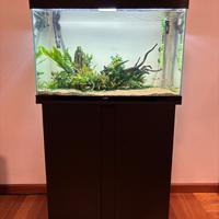 ACQUARIO  140 litri completo
