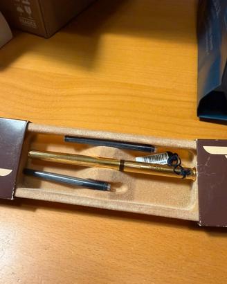 Penna Stilografica Pierre Cardin NUOVA Oro 14K