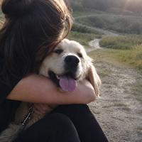 Pet Sitter - Cani, Gatti e Altri Animali