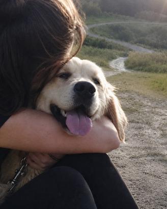 Pet Sitter - Cani, Gatti e Altri Animali