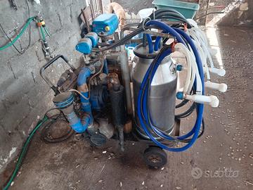 carrello 
