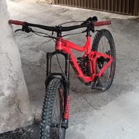 Giant Reing SX 2 del 2019