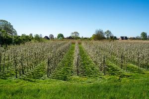 Terreno agricolo con molteplici possibilità
