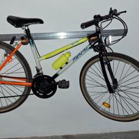 Mountain bike Ellesse cambio Shimano