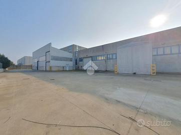 CAPANNONE A DUE CARRARE