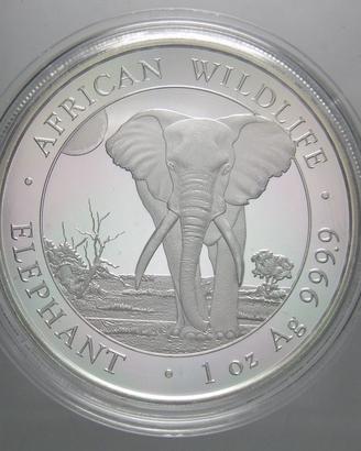 Moneta Somalia 1 Oncia 2025 Elefante Argento