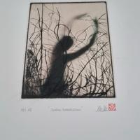 Acquaforte incisione calcografia firmata originale