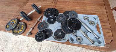 Set manubri con pesi