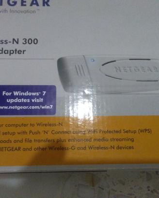 Netgear WN11v2 Adattatore Wireless-N Usb2.0 300Mbs