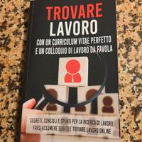 trovare lavoro Riccardo fabbro 