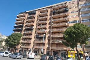 4 Vani zona Borgo Ulivia/Orsa Maggiore