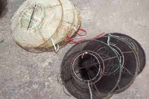 Nasse per Maruzzella