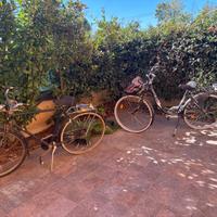 Biciclette più tagliaerba