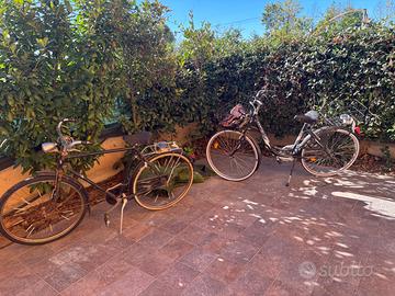 Biciclette più tagliaerba