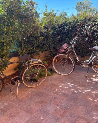 Biciclette più tagliaerba
