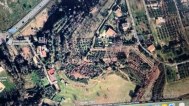 Terreno agricolo con uliveto Artena (RM) - Macere