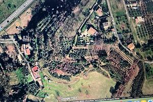 Terreno agricolo con uliveto Artena (RM) - Macere