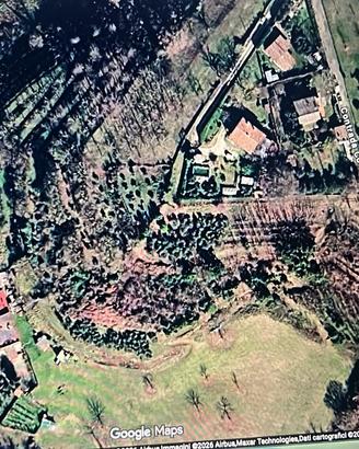 Terreno agricolo con uliveto Artena (RM) - Macere