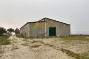 Locale commerciale, S.P. 13 - Petrella Tifernina