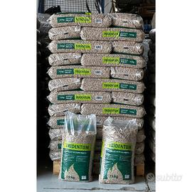 Pellet Tridentum