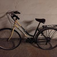 Bicicletta citybike