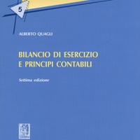 Bilancio di esercizio e principi contabili
