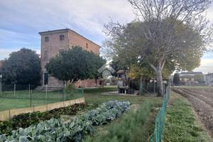 RUSTICO A SACCOLONGO