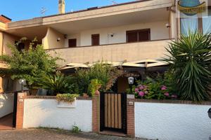 Francavilla rif. Fr503