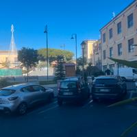 Attivita' commerciale 49-381