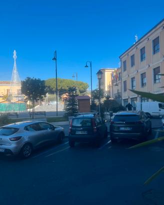 Attivita' commerciale 49-381