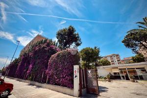 4 LOCALI A BARI