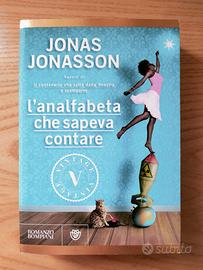 L'analfabeta che sapeva contare libro